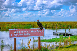 Schild am in Florida auf dem ein Vogel sitzt